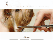 Tablet Screenshot of piesypatas.com